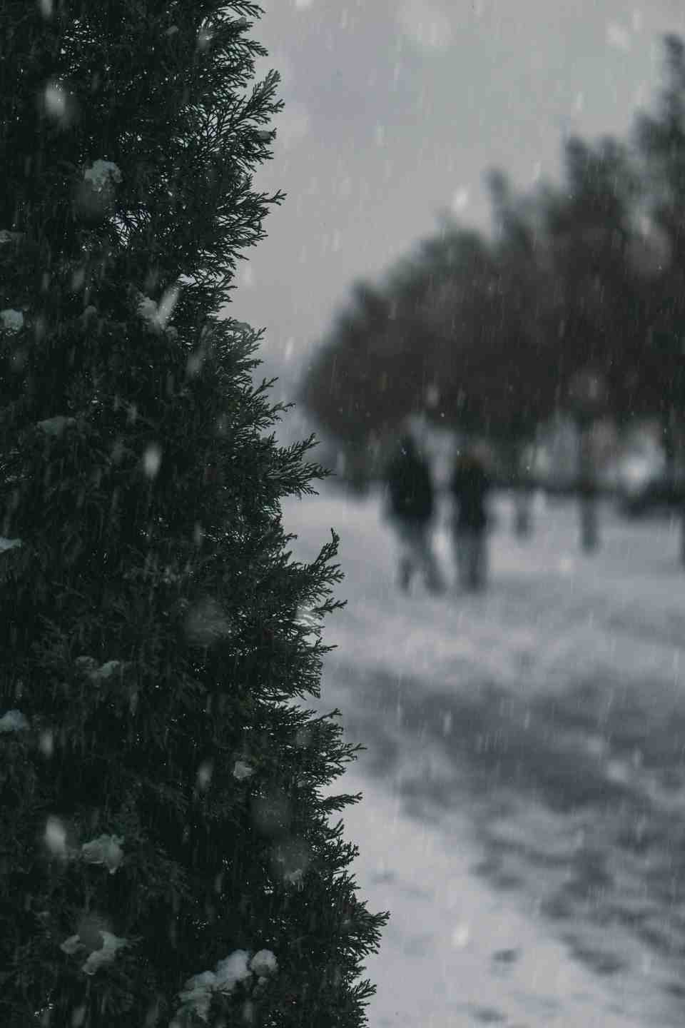 Winter Schagen